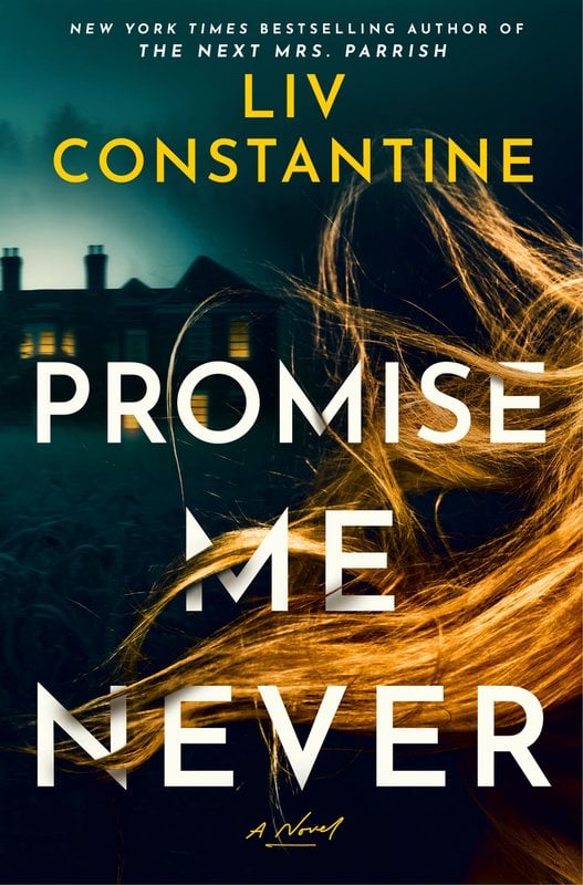 Cover of Promise Me Never by Liv Constantine