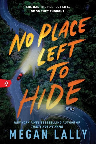Cover of No Place Left to Hide by Megan Lally