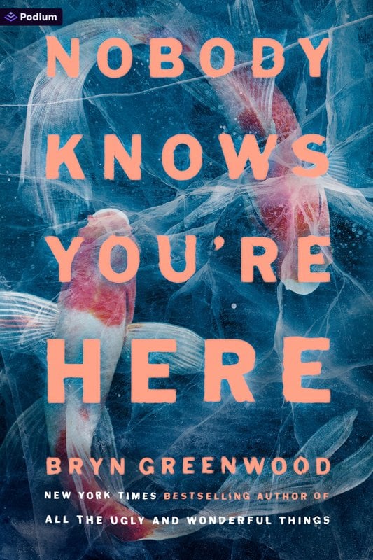 Cover of Nobody Knows You're Here by Bryn Greenwood
